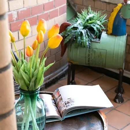 Lio Design Balkon Netflix Parken *