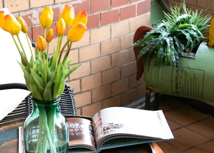 Lio Design Balkon Netflix Parken Lägenhet *