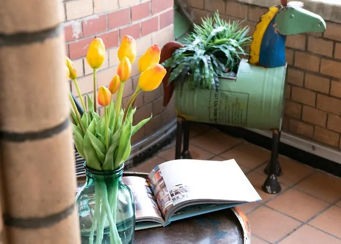 Lio Design Balkon Netflix Parken *